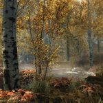 Skyrim Special Edition Download