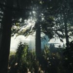 The Forest pobierz