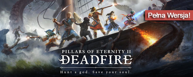 Pillars of Eternity II Deadfire pobierz