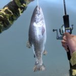 Ultimate Fishing Simulator torrent